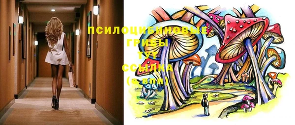 ALPHA PVP Нязепетровск
