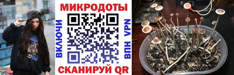 Псилоцибиновые грибы ЛСД  Купить  Емва 